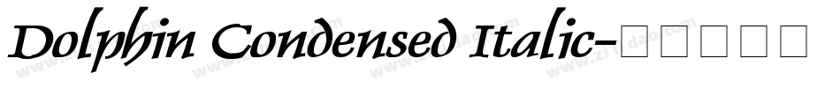 Dolphin Condensed Italic字体转换